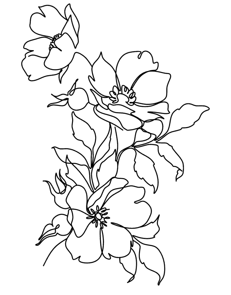 Endometriosis, Hormonal Imbalances, PCOS, Menopause