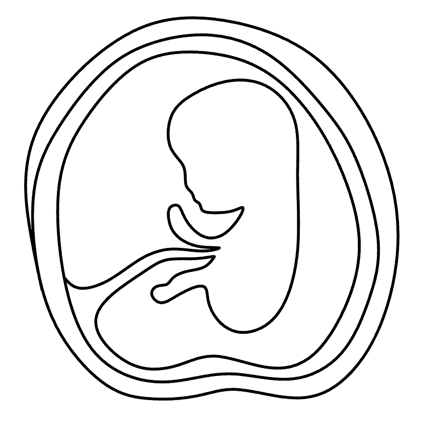 ivf support, IVF transfer day acupuncture, fertility acupuncture vancouver